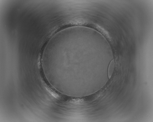 X0000073760065200608031545