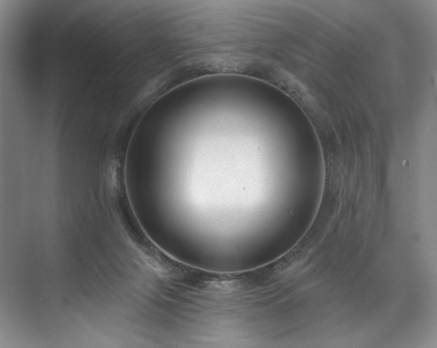 X0000073760071200608031545