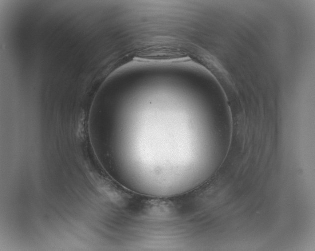 X0000073760073200608031545