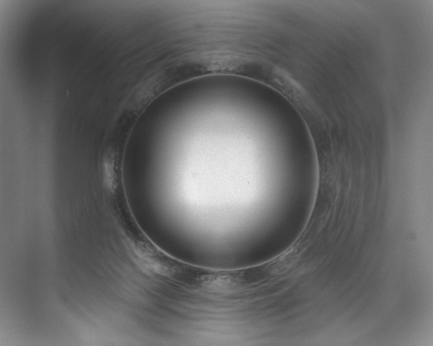 X0000073760074200608031545