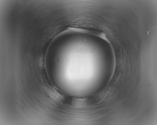 X0000073760081200608031545