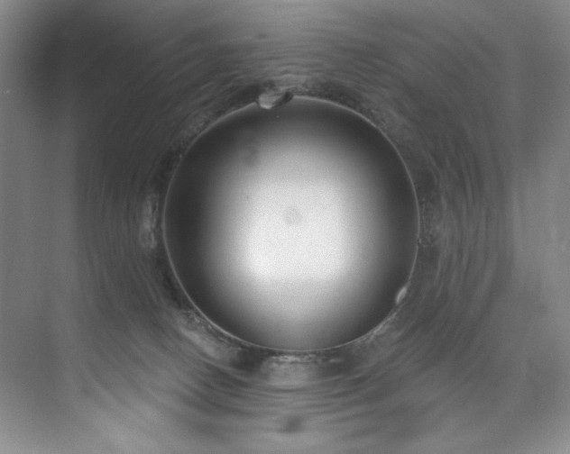 X0000073760082200608031545
