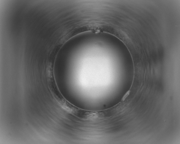 X0000073760083200608031545