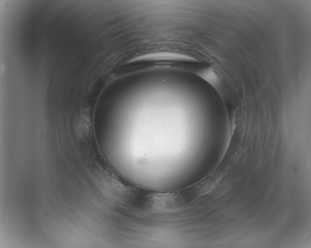 X0000073760085200608031545