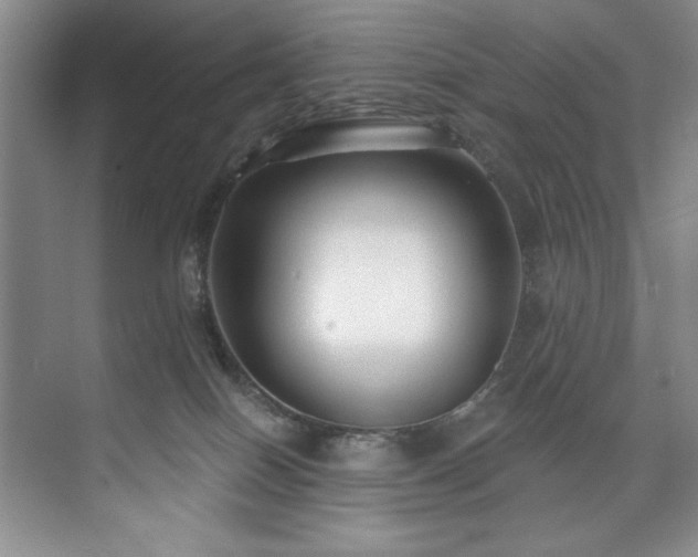 X0000073760086200608031545