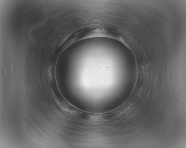 X0000073760088200608031545