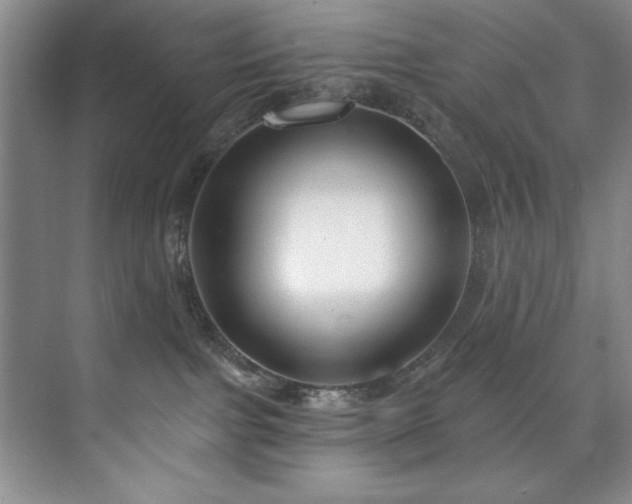 X0000073760091200608031545