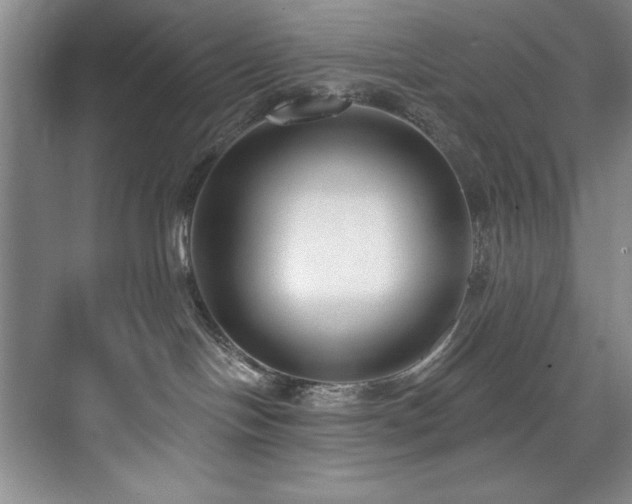 X0000073760094200608031545