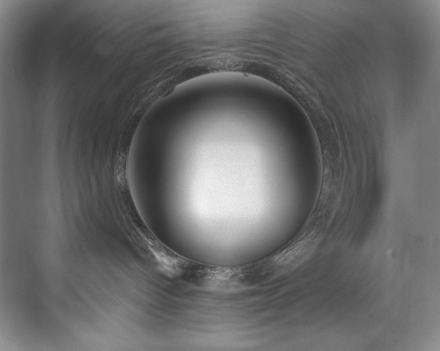 X0000073760096200608031545