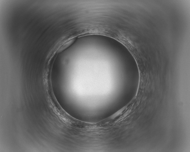 X0000073760098200608031544
