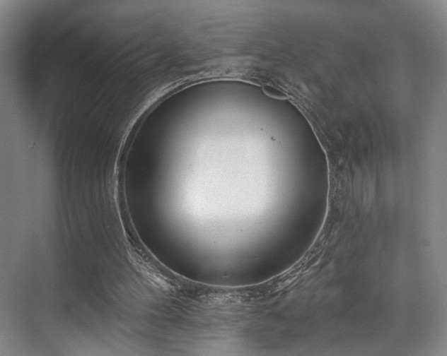 X0000073760100200608031544