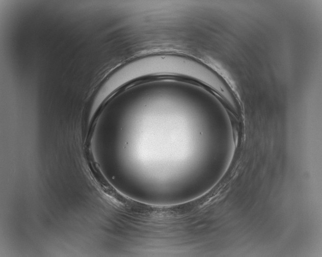 X0000073760105200608031544
