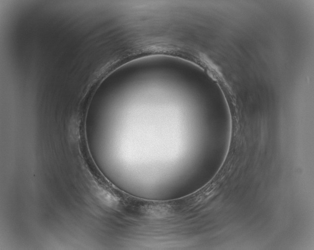 X0000073760106200608031544