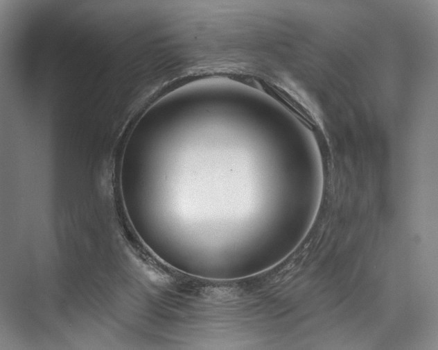 X0000073760107200608031544