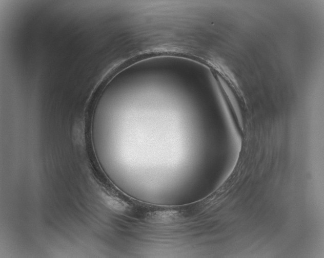 X0000073760108200608031544