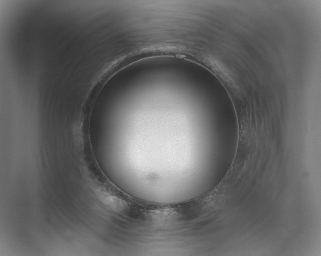 X0000073760112200608031544