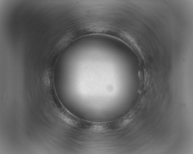 X0000073760114200608031544
