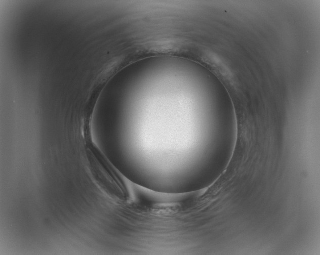 X0000073760115200608031544