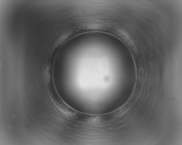 X0000073760116200608031544