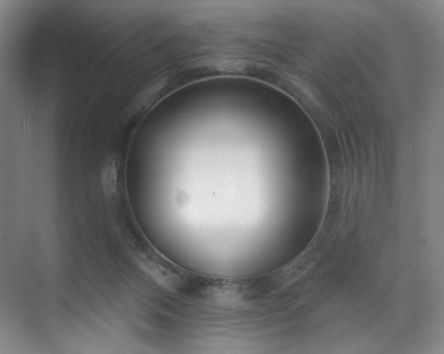 X0000073760120200608031544