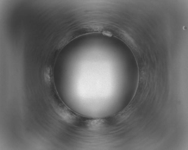 X0000073760122200608031544