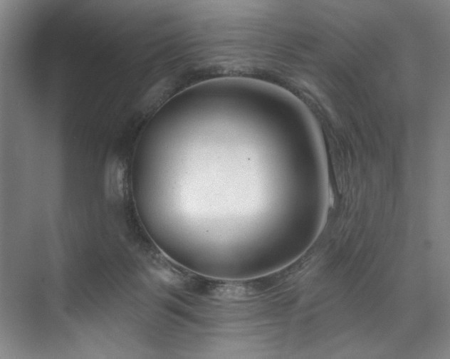 X0000073760123200608031544