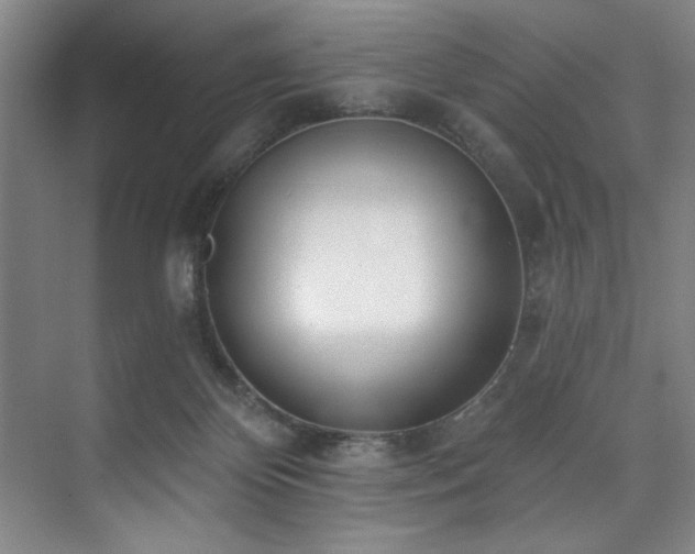 X0000073760124200608031544