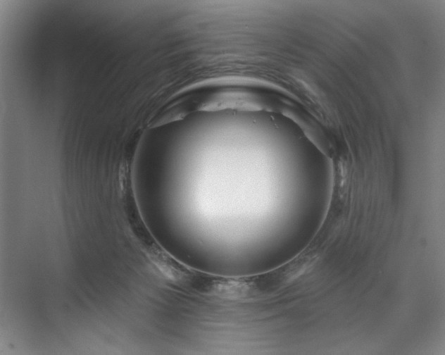 X0000073760125200608031544