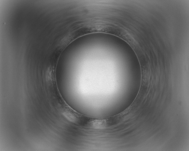 X0000073760126200608031544