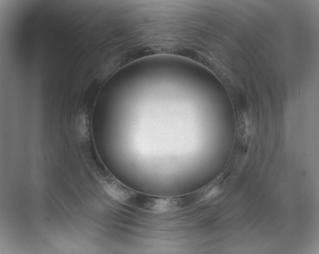 X0000073760130200608031544