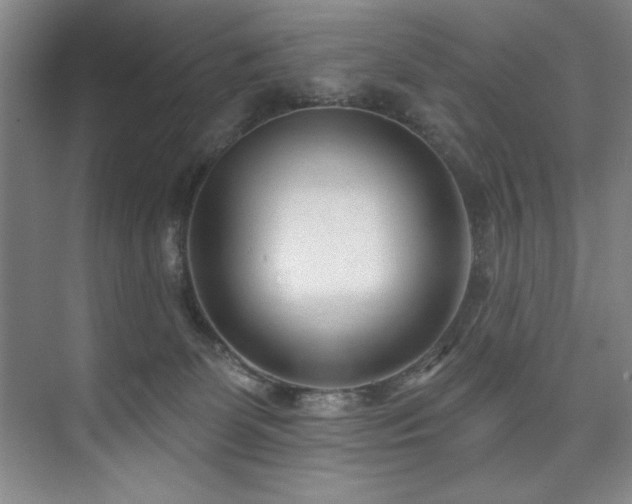 X0000073760131200608031544