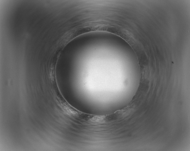 X0000073760138200608031544