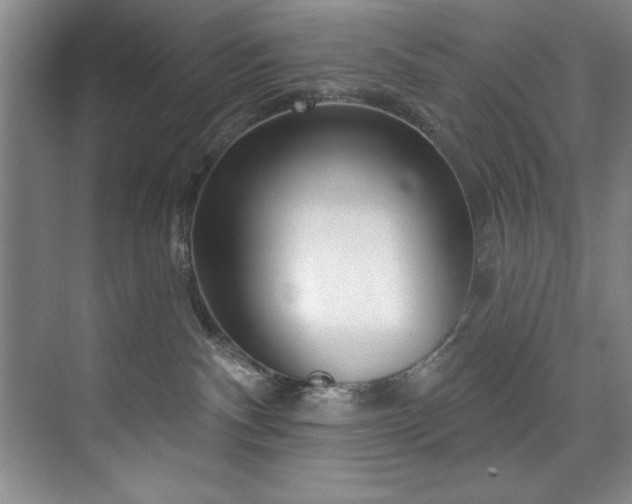 X0000073760140200608031544