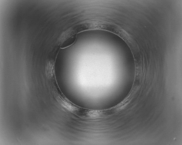 X0000073760142200608031544