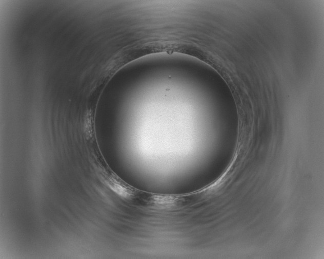 X0000073760144200608031544