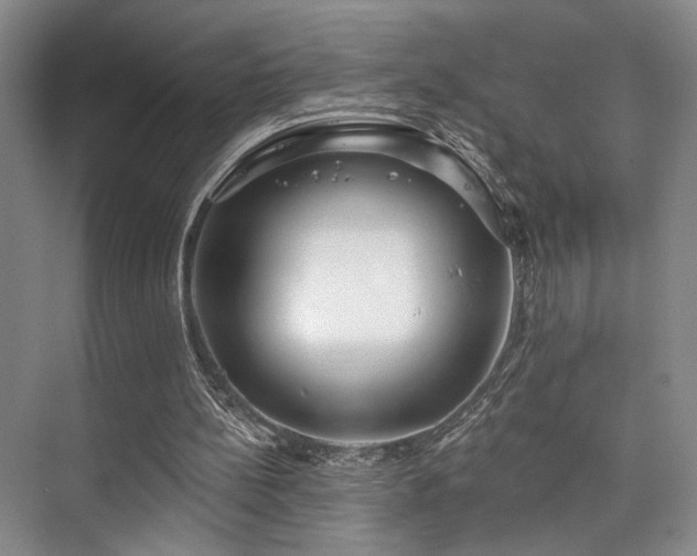 X0000073760148200608031543