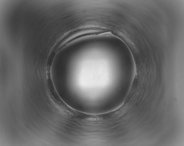 X0000073760160200608031543