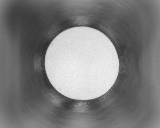 X0000073760162200608031543