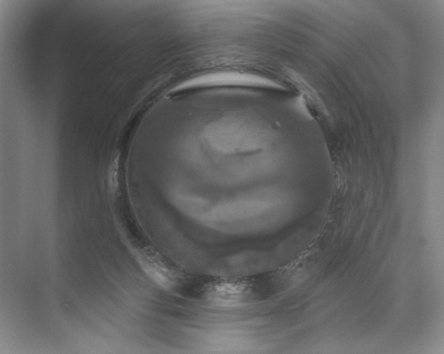 X0000073760163200608031543