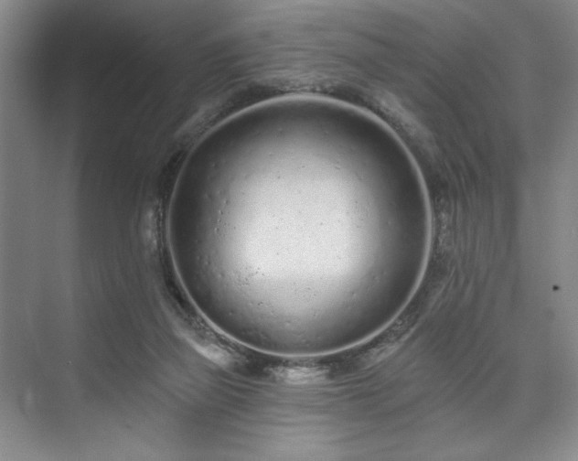 X0000073760165200608031543