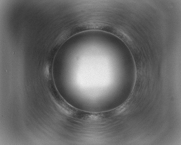 X0000073760166200608031543