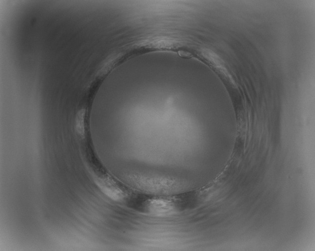X0000073760167200608031543