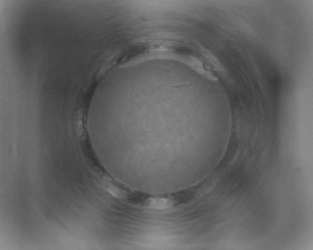 X0000073760169200608031543