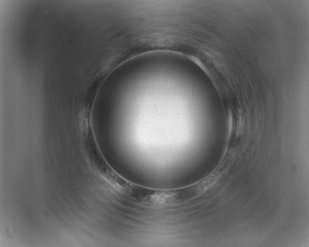 X0000073760172200608031543