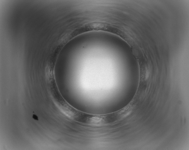 X0000073760176200608031543