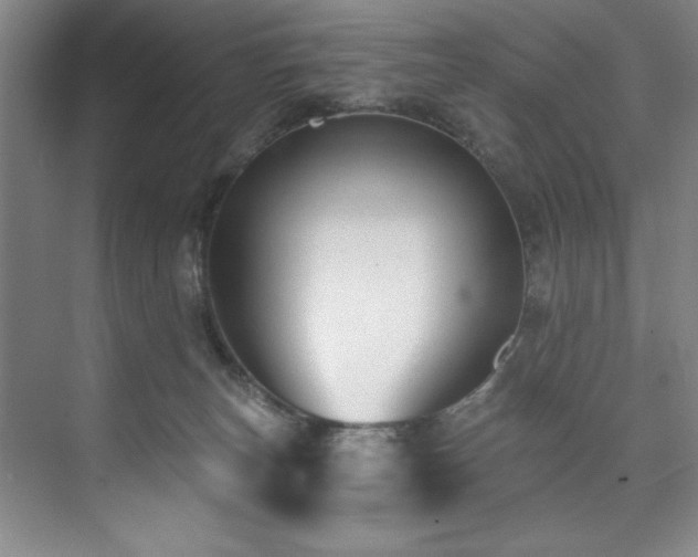 X0000073760179200608031543