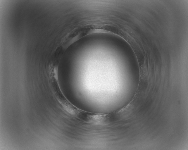 X0000073760184200608031543