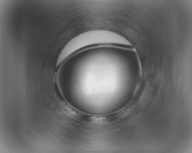 X0000073760185200608031543