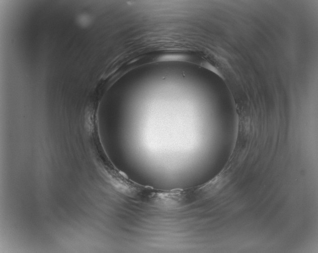 X0000073760188200608031543