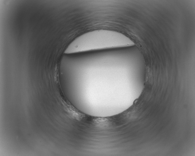 X0000073760189200608031543